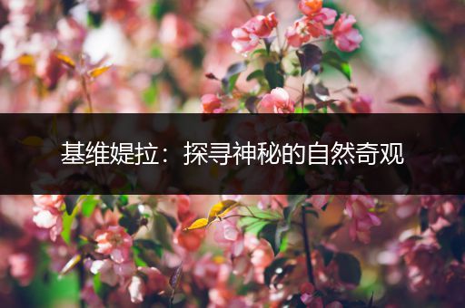 基维媞拉：探寻神秘的自然奇观