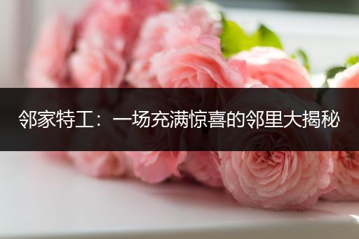 邻家特工：一场充满惊喜的邻里大揭秘