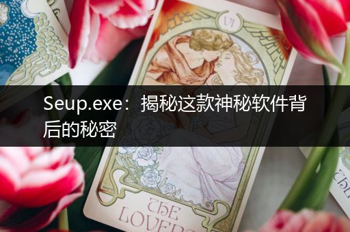 Seup.exe：揭秘这款神秘软件背后的秘密