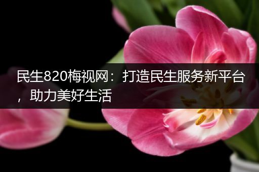 民生820梅视网：打造民生服务新平台，助力美好生活