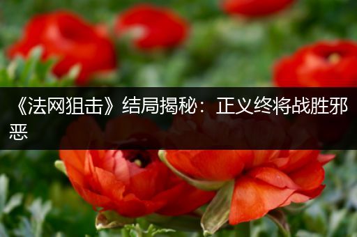 《法网狙击》结局揭秘：正义终将战胜邪恶