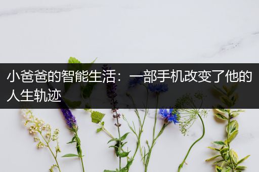 小爸爸的智能生活：一部手机改变了他的人生轨迹