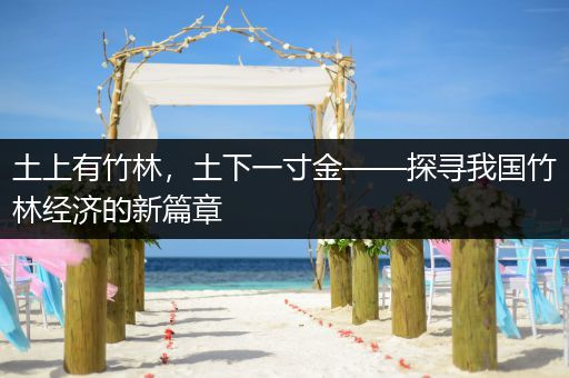 土上有竹林，土下一寸金——探寻我国竹林经济的新篇章