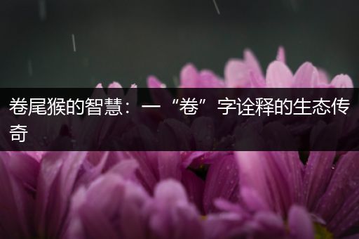 卷尾猴的智慧：一“卷”字诠释的生态传奇