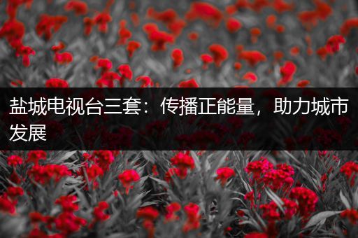 盐城电视台三套：传播正能量，助力城市发展