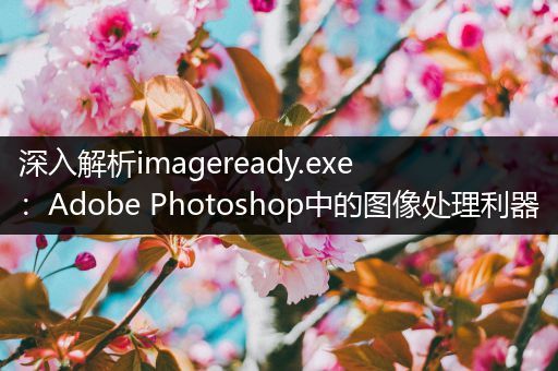 深入解析imageready.exe：Adobe Photoshop中的图像处理利器
