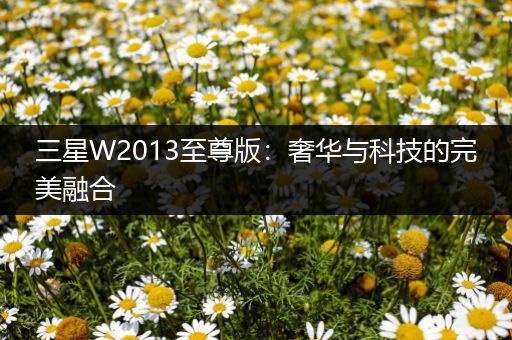 三星W2013至尊版：奢华与科技的完美融合