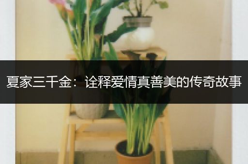 夏家三千金：诠释爱情真善美的传奇故事