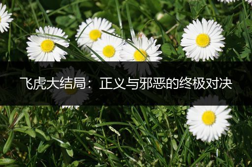 飞虎大结局：正义与邪恶的终极对决