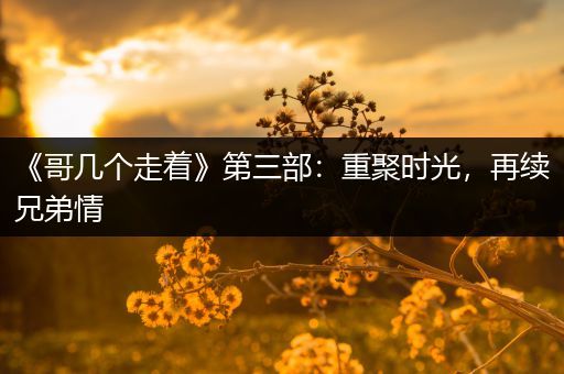 《哥几个走着》第三部：重聚时光，再续兄弟情