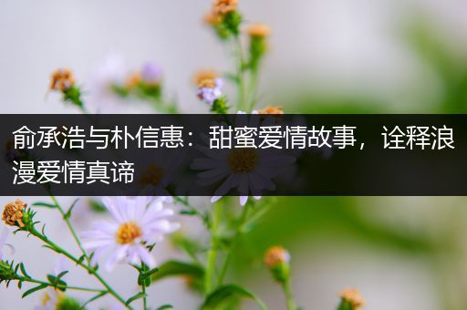 俞承浩与朴信惠：甜蜜爱情故事，诠释浪漫爱情真谛