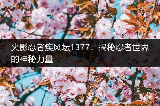 火影忍者疾风坛1377：揭秘忍者世界的神秘力量