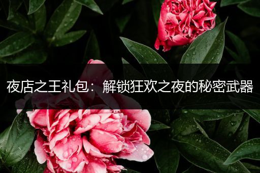 夜店之王礼包：解锁狂欢之夜的秘密武器