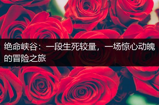 绝命峡谷：一段生死较量，一场惊心动魄的冒险之旅