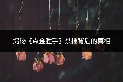 揭秘《点金胜手》禁播背后的真相