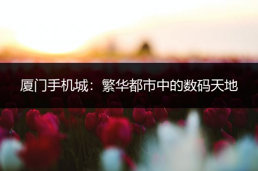 厦门手机城：繁华都市中的数码天地