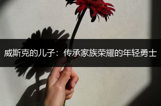 威斯克的儿子：传承家族荣耀的年轻勇士