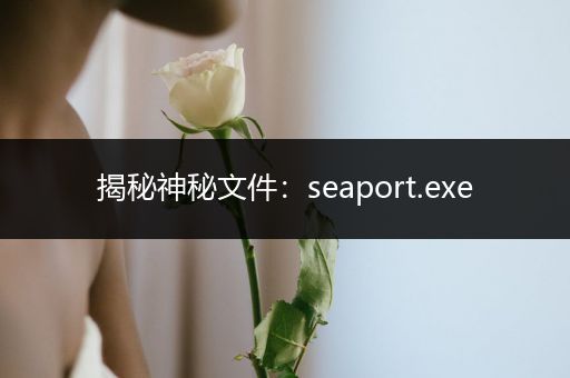 揭秘神秘文件：seaport.exe