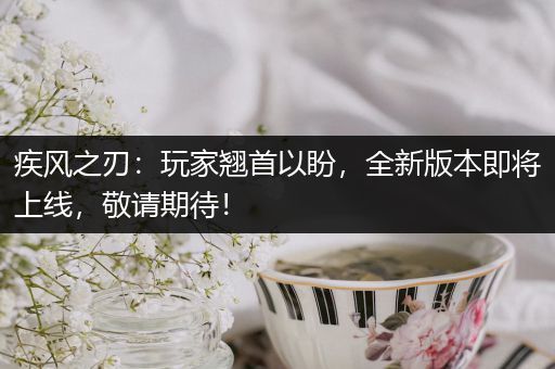 疾风之刃：玩家翘首以盼，全新版本即将上线，敬请期待！