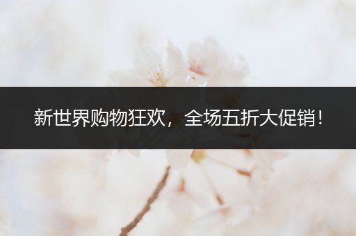 新世界购物狂欢，全场五折大促销！
