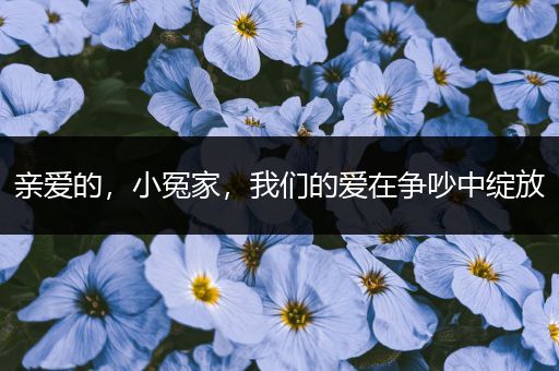 亲爱的，小冤家，我们的爱在争吵中绽放
