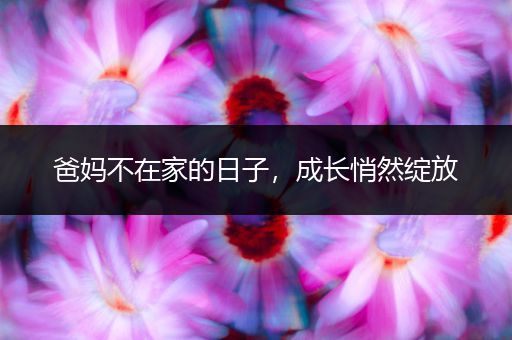 爸妈不在家的日子，成长悄然绽放