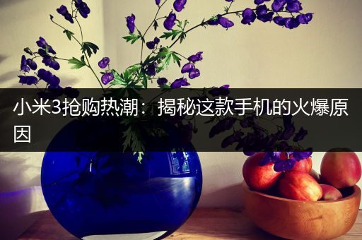 小米3抢购热潮：揭秘这款手机的火爆原因