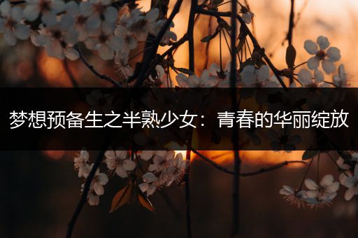 梦想预备生之半熟少女：青春的华丽绽放