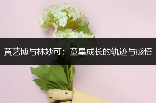 黄艺博与林妙可：童星成长的轨迹与感悟