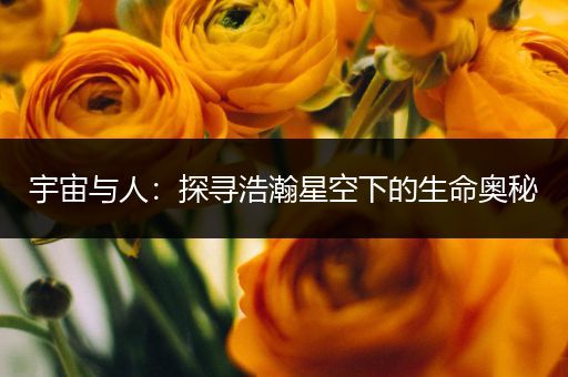 宇宙与人：探寻浩瀚星空下的生命奥秘