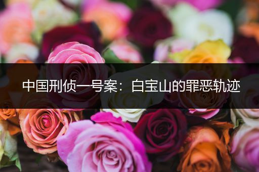 中国刑侦一号案：白宝山的罪恶轨迹