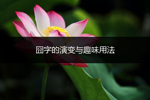 囧字的演变与趣味用法