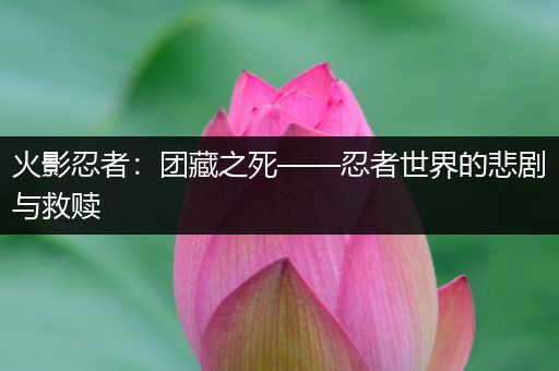 火影忍者：团藏之死——忍者世界的悲剧与救赎