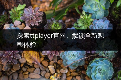 探索ttplayer官网，解锁全新观影体验