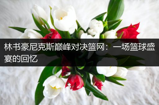 林书豪尼克斯巅峰对决篮网：一场篮球盛宴的回忆