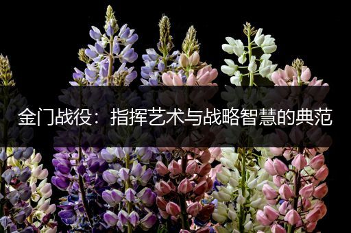 金门战役：指挥艺术与战略智慧的典范