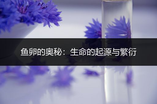 鱼卵的奥秘：生命的起源与繁衍