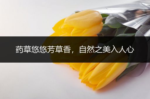 药草悠悠芳草香，自然之美入人心