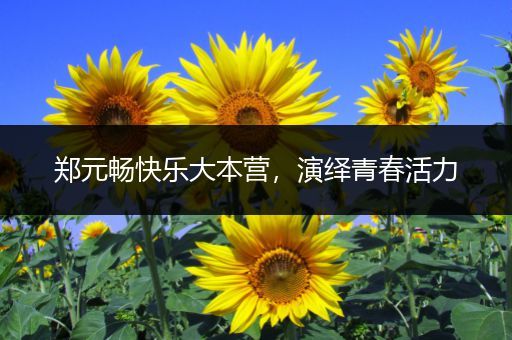 郑元畅快乐大本营，演绎青春活力