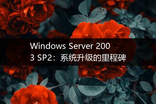 Windows Server 2003 SP2：系统升级的里程碑
