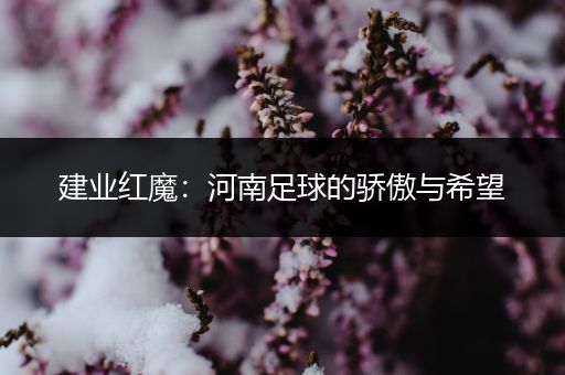 建业红魔：河南足球的骄傲与希望