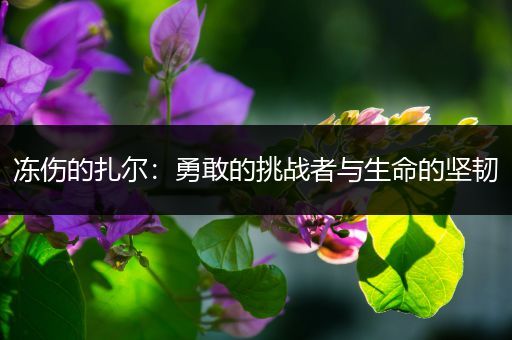 冻伤的扎尔：勇敢的挑战者与生命的坚韧