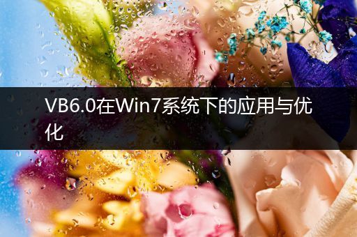 VB6.0在Win7系统下的应用与优化