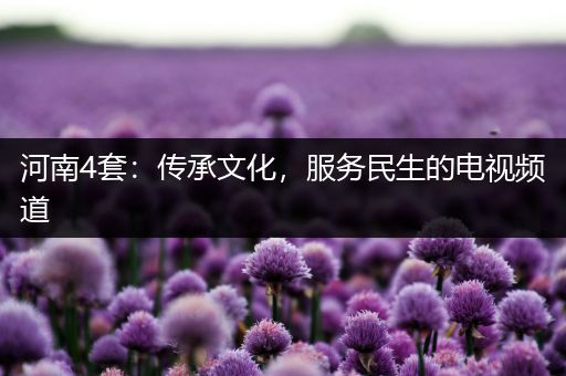 河南4套：传承文化，服务民生的电视频道