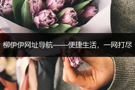 柳伊伊网址导航——便捷生活，一网打尽