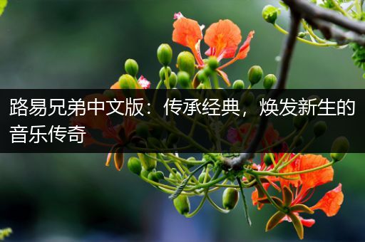 路易兄弟中文版：传承经典，焕发新生的音乐传奇