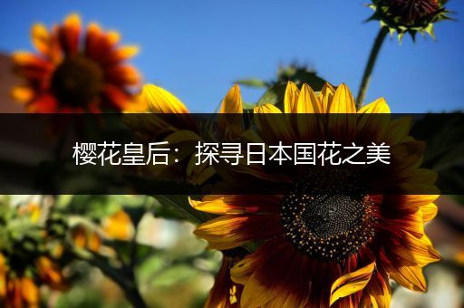 樱花皇后：探寻日本国花之美