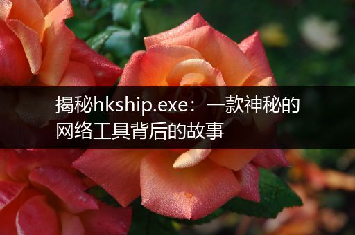 揭秘hkship.exe：一款神秘的网络工具背后的故事