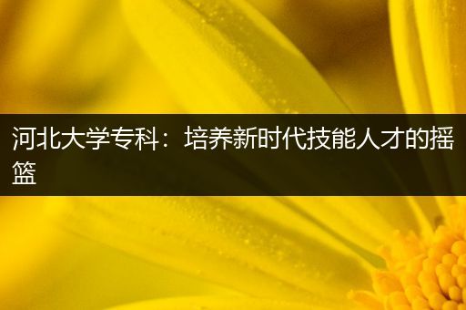 河北大学专科：培养新时代技能人才的摇篮