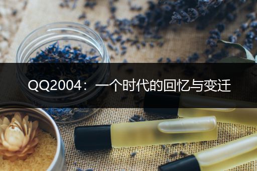 QQ2004：一个时代的回忆与变迁